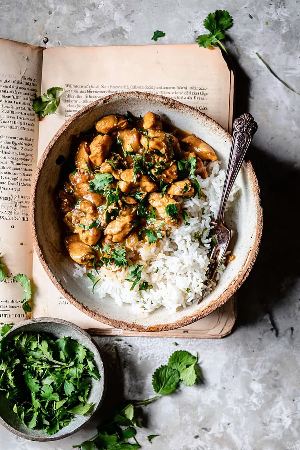 Quick Burmese Chicken Curry
