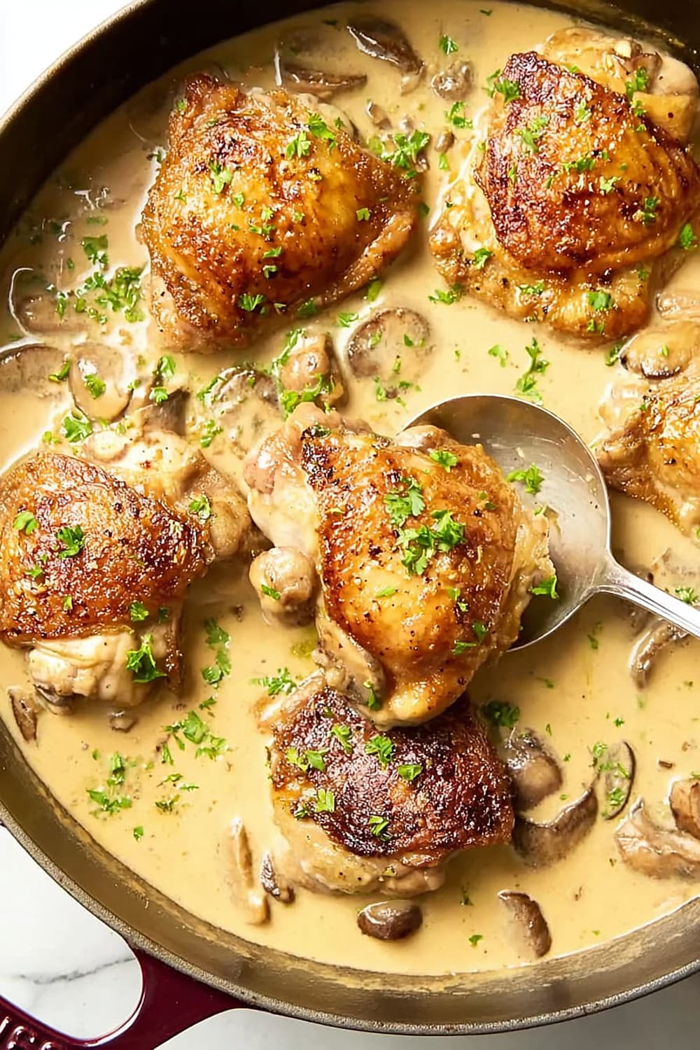 Chicken Fricassée