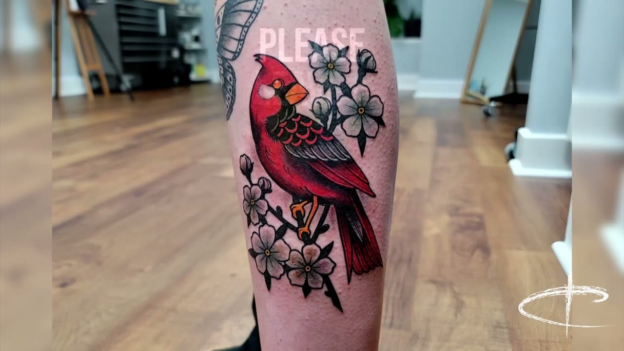 A stunning cardinal perches gracefully among delicate cherry blossoms in this beautifully executed traditional-style leg tattoo 🌸 The rich crimson plumage contrasts gorgeously with the soft white and pink florals, while the bold black outlines and expert shading create incredible depth and dimension. Perfect symbolism of hope, renewal, and remembrance wrapped in timeless American traditional artistry.