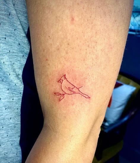 A delicate crimson cardinal perches gracefully on this forearm, rendered in fine red linework that captures every feather detail with stunning precision. The minimalist approach lets the bird's natural beauty shine through, while the warm red ink creates a striking contrast against the skin tone—perfect for those who appreciate nature-inspired body art with subtle elegance. 🐦