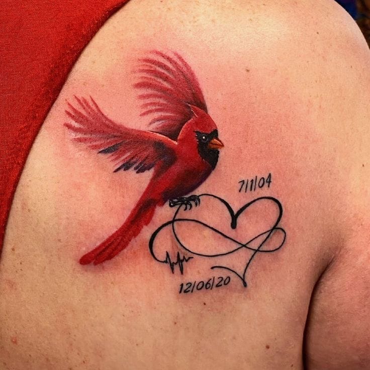 A vibrant red cardinal takes flight across this shoulder blade, its wings spread wide in a moment of graceful movement that seems to capture the essence of freedom and remembrance. The flowing infinity symbol intertwined with a heartbeat line and memorial dates creates a touching tribute, transforming this piece into a deeply personal celebration of love that transcends time. The rich crimson hues against skin create an almost three-dimensional effect that makes this feathered friend appear ready to soar right off the body ❤️