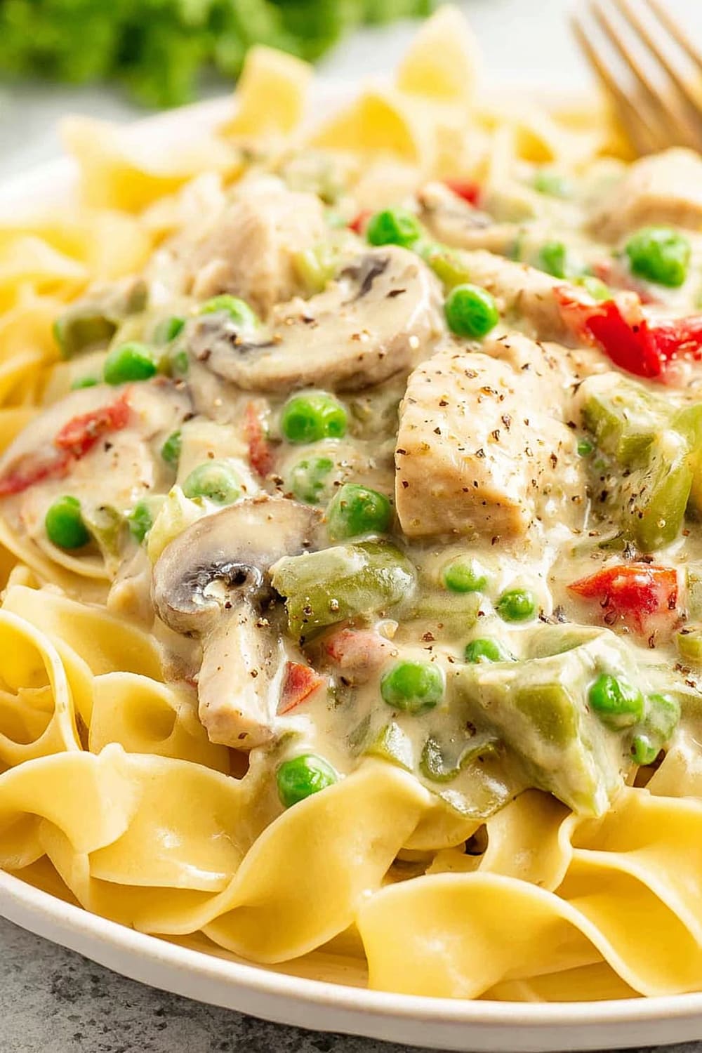 Chicken À la King Over Noodles