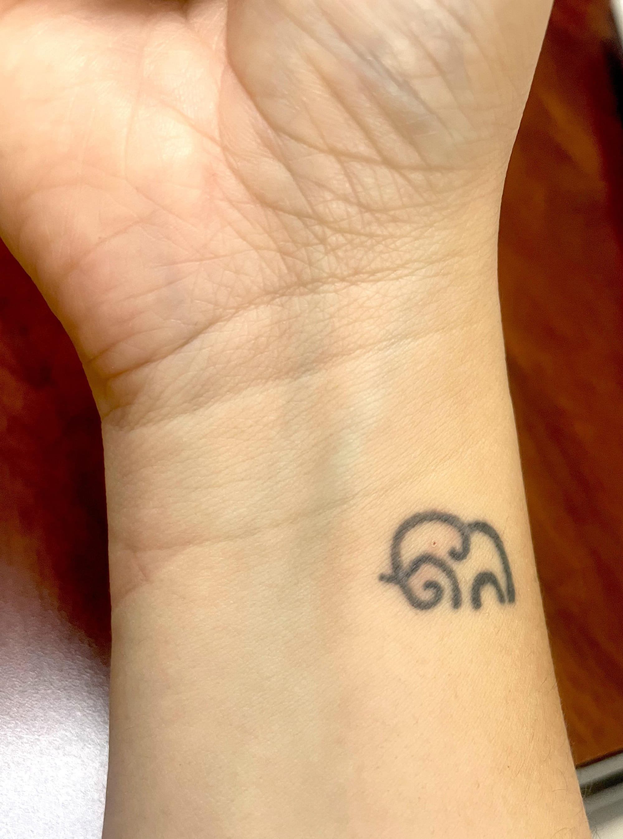 Delicate linework transforms this wrist into a canvas for what appears to be an elegant elephant silhouette, where minimalist curves create maximum impact. The placement perfectly follows the natural contours of the inner wrist, making it a subtle yet meaningful piece that catches light beautifully with every hand gesture 🐘