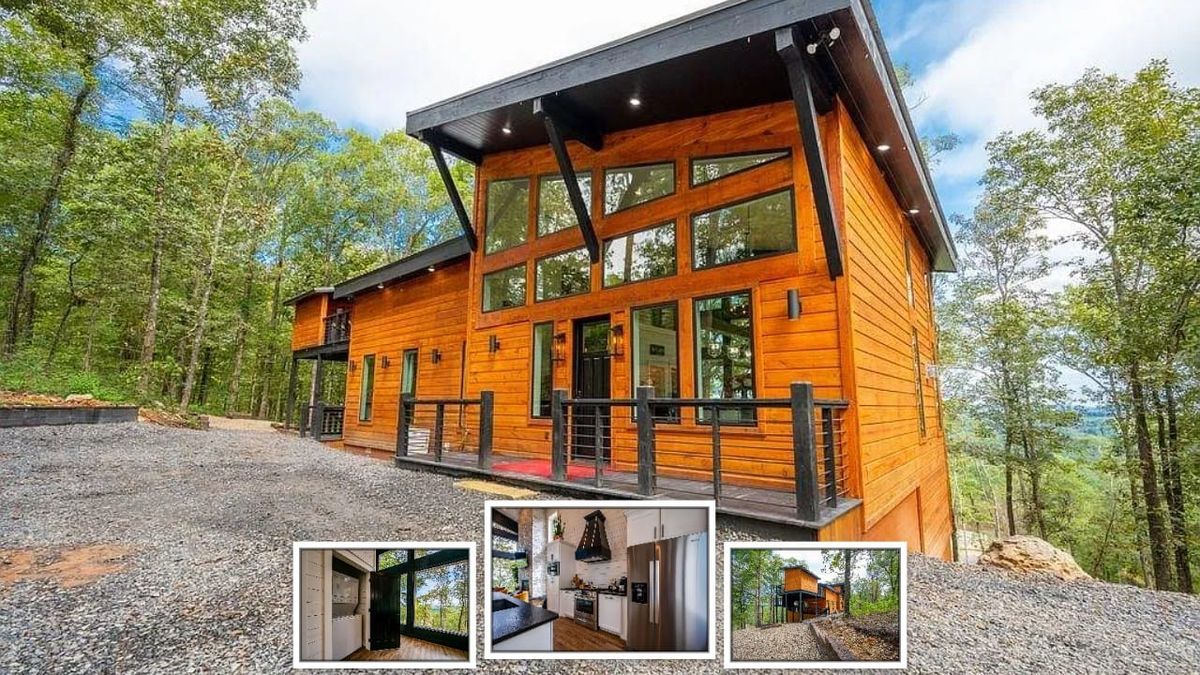 This Cabin Sees All The Forest