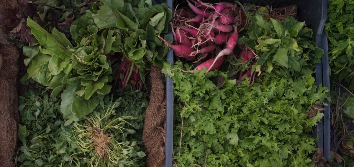Why You Should Avoid Pre-Cut Vegetables at All Costs