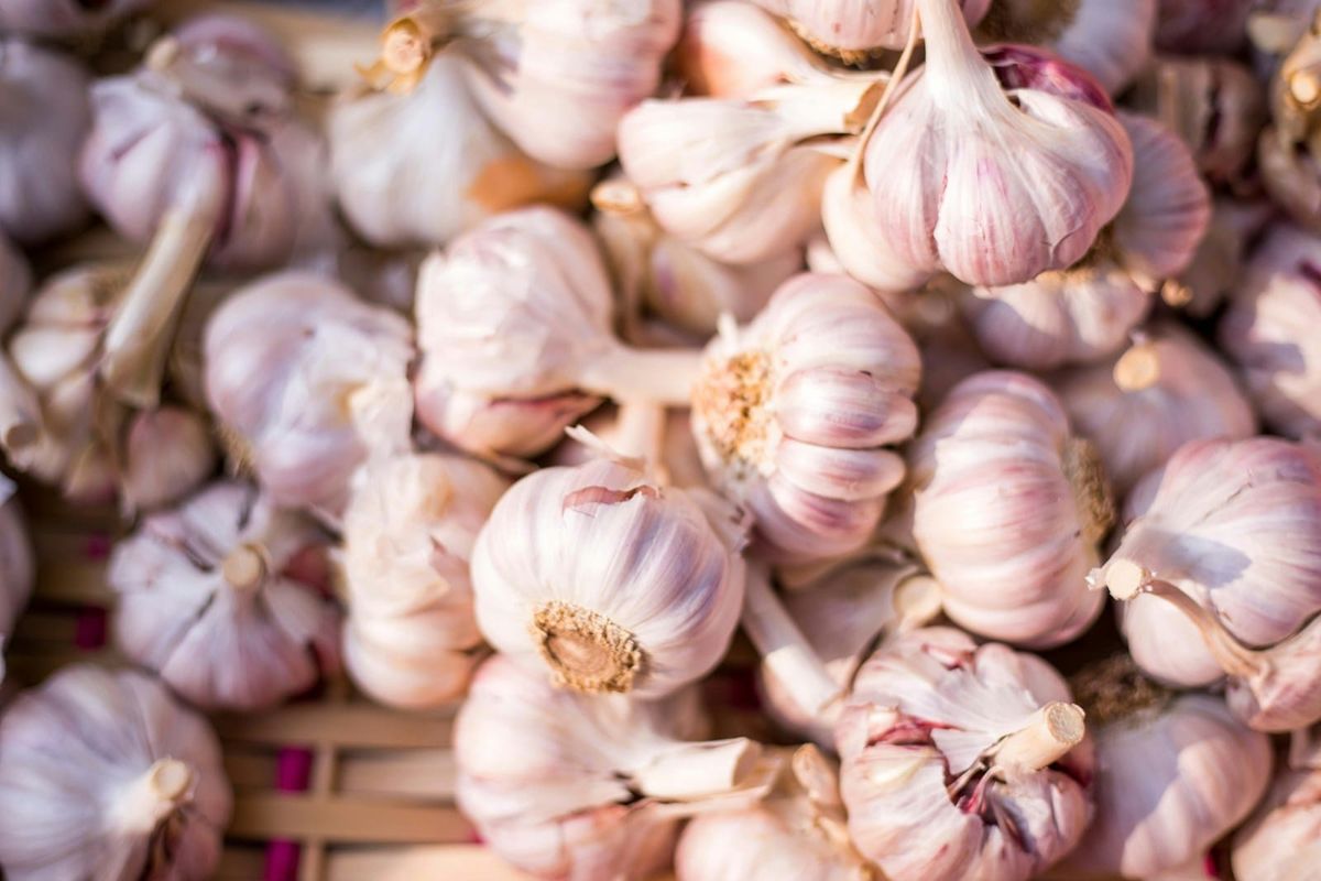 Stop Storing Your Garlic This Way – Here’s What Chefs Do Instead
