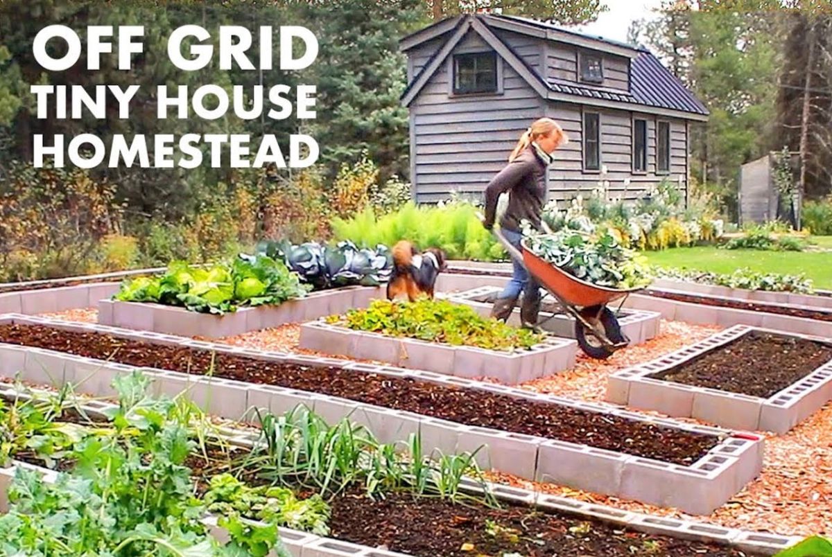 This Woman Hasn’t Paid A Utility Bill In 6 Years