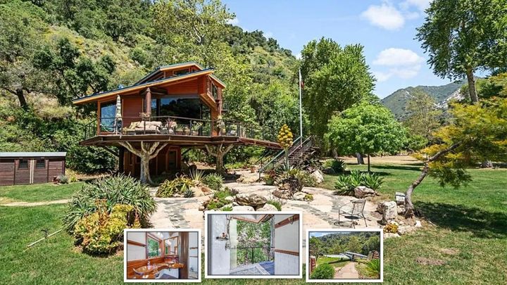 This Treehouse Has a Plane for Guests