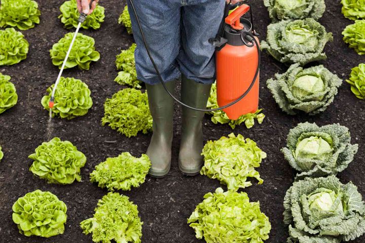 Fruits Loaded With Pesticides