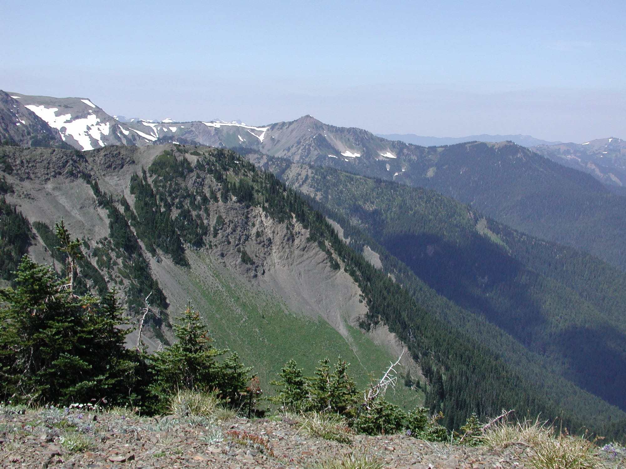 South facing slopes of Grandview Ridge in Olympic National Park.