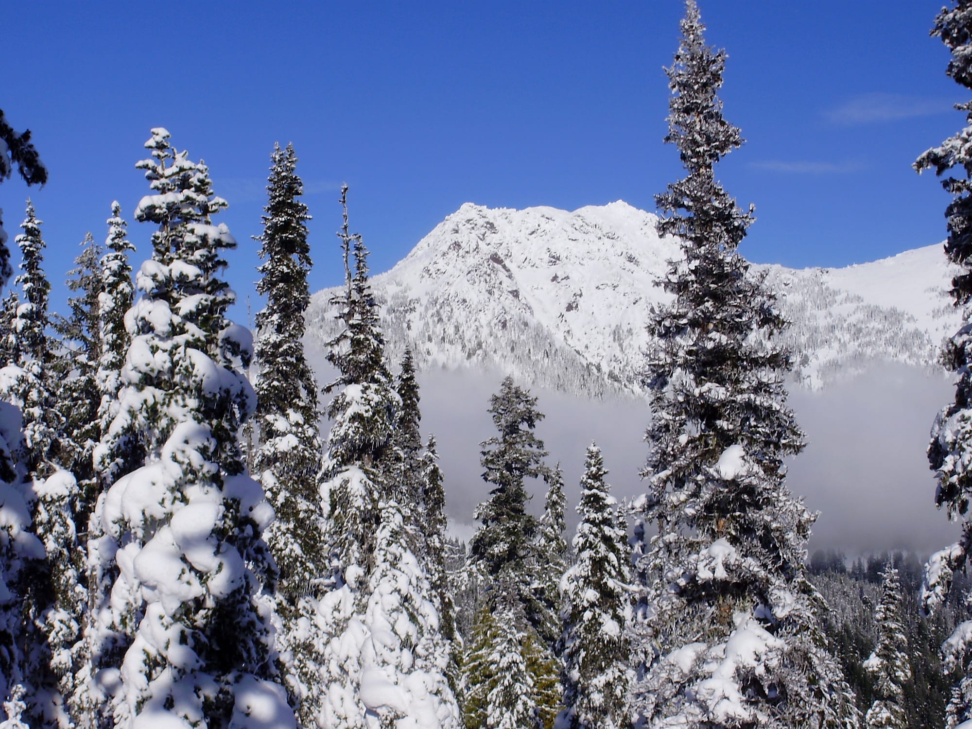 View of snow-covered ridge taken from Obstruction Point Road during a snowshoeing trip.