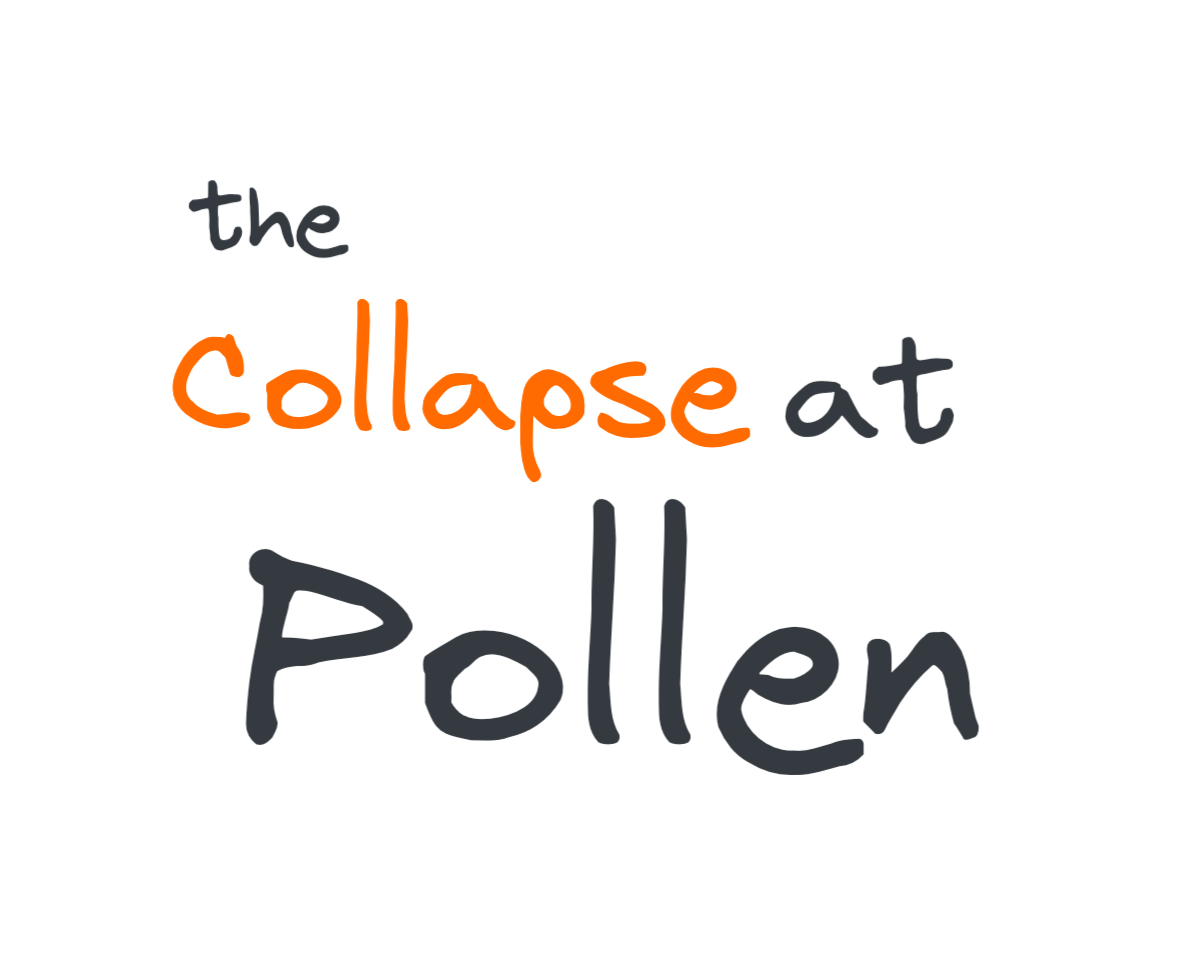 Inside Pollen’s Collapse: “$200M Raised” but Staff Unpaid - Exclusive