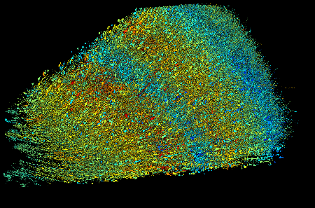 Reconstrucción 3D del dataset H01