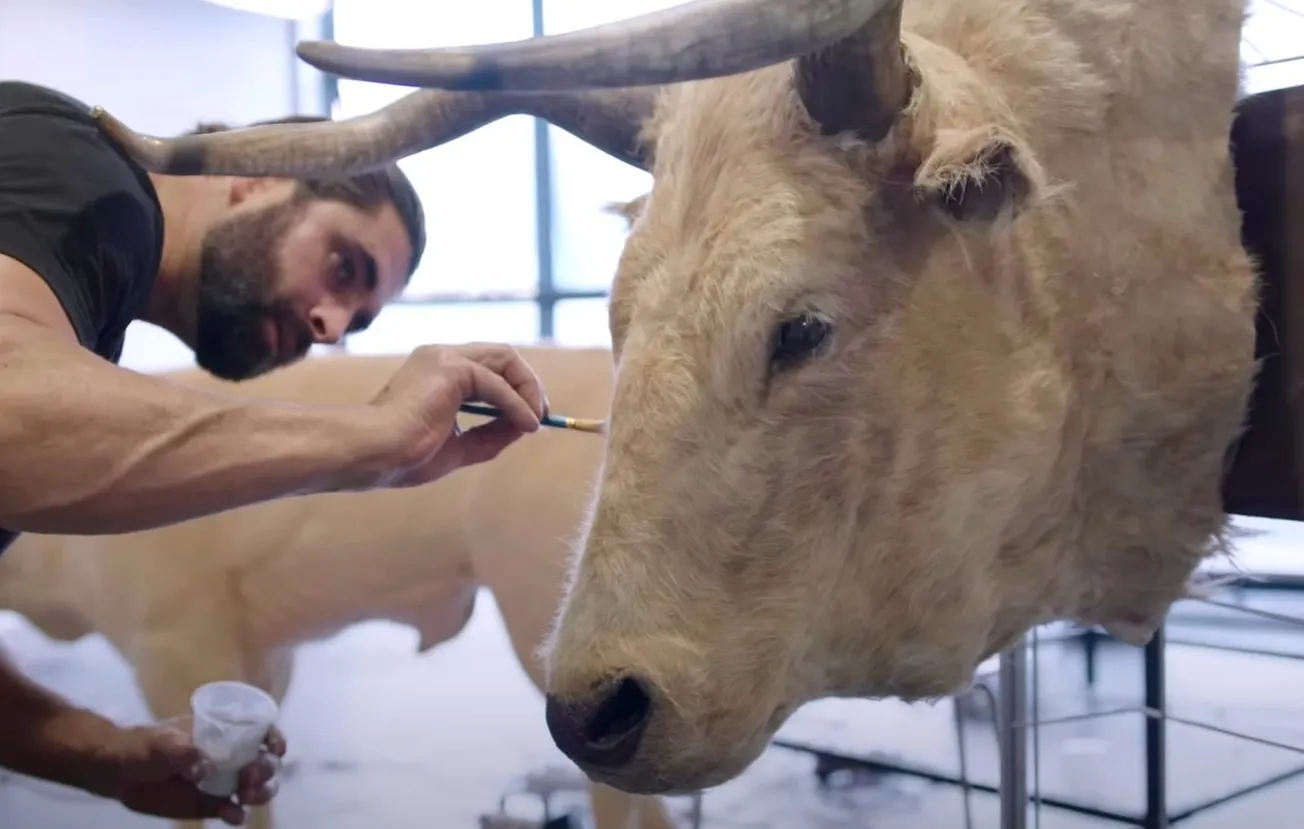 Pendragon Cycle Production Diary 9 Includes Serious Special Effects