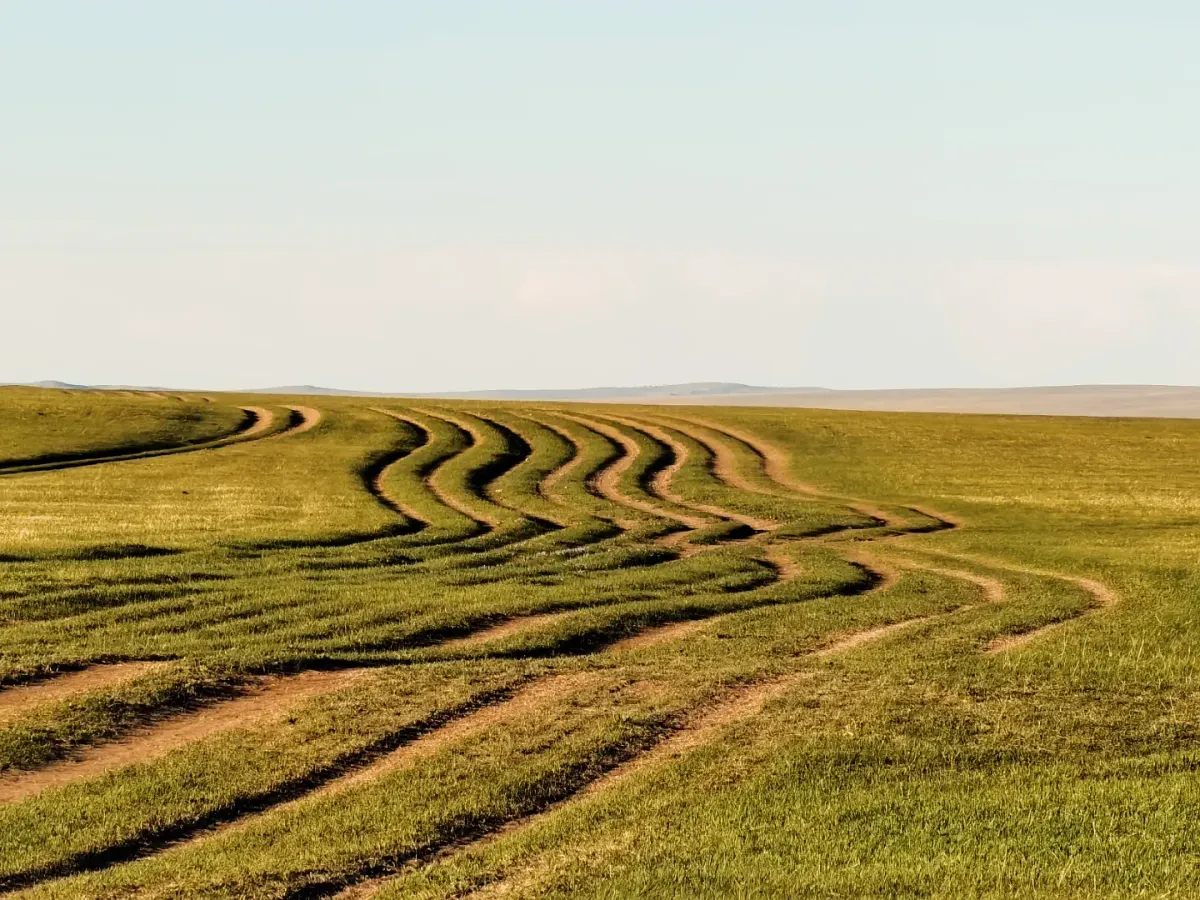 Driving in Mongolia: Roads, GPS, Fuel & Off-Road Realities