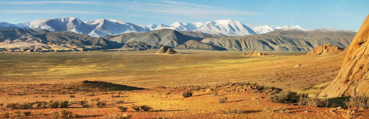 Mongolia Travel Tips: 20 Things to Know Before You Go (2026)
