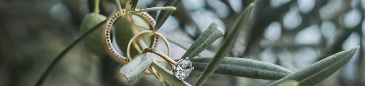 Wedding Venues in Istria, Croatia