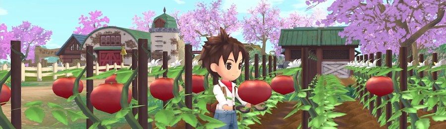 Story of Seasons: A Wonderful Life on Steam