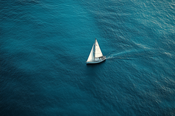 How to Navigate a Market Downturn