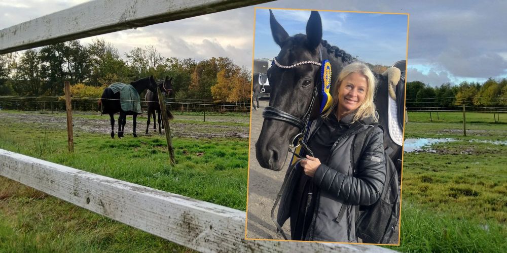 Efter succén med Bjurfors Horse Show – så ser framtiden ut för Billdals ridklubb