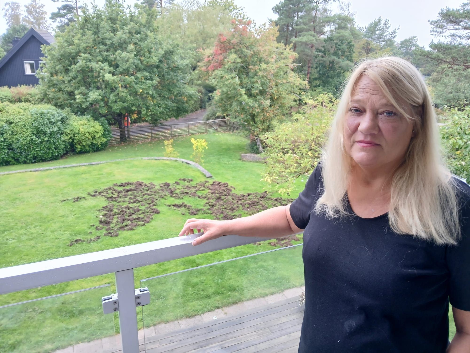 Vildsvinen kom två nätter i rad – nu bygger Anna-Lena staket