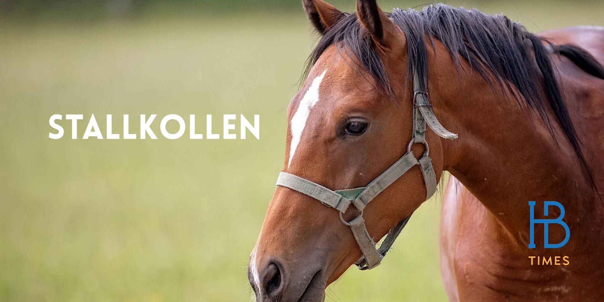 Stallkollen