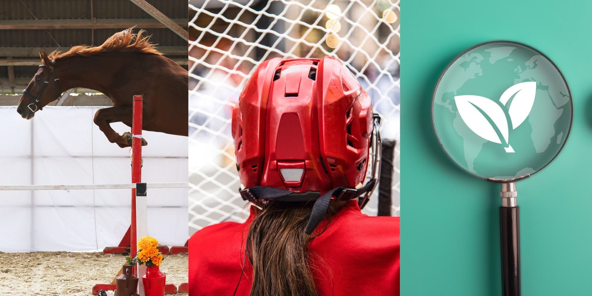 Helgtips: Hästshow, ishockey och klimatsamtal