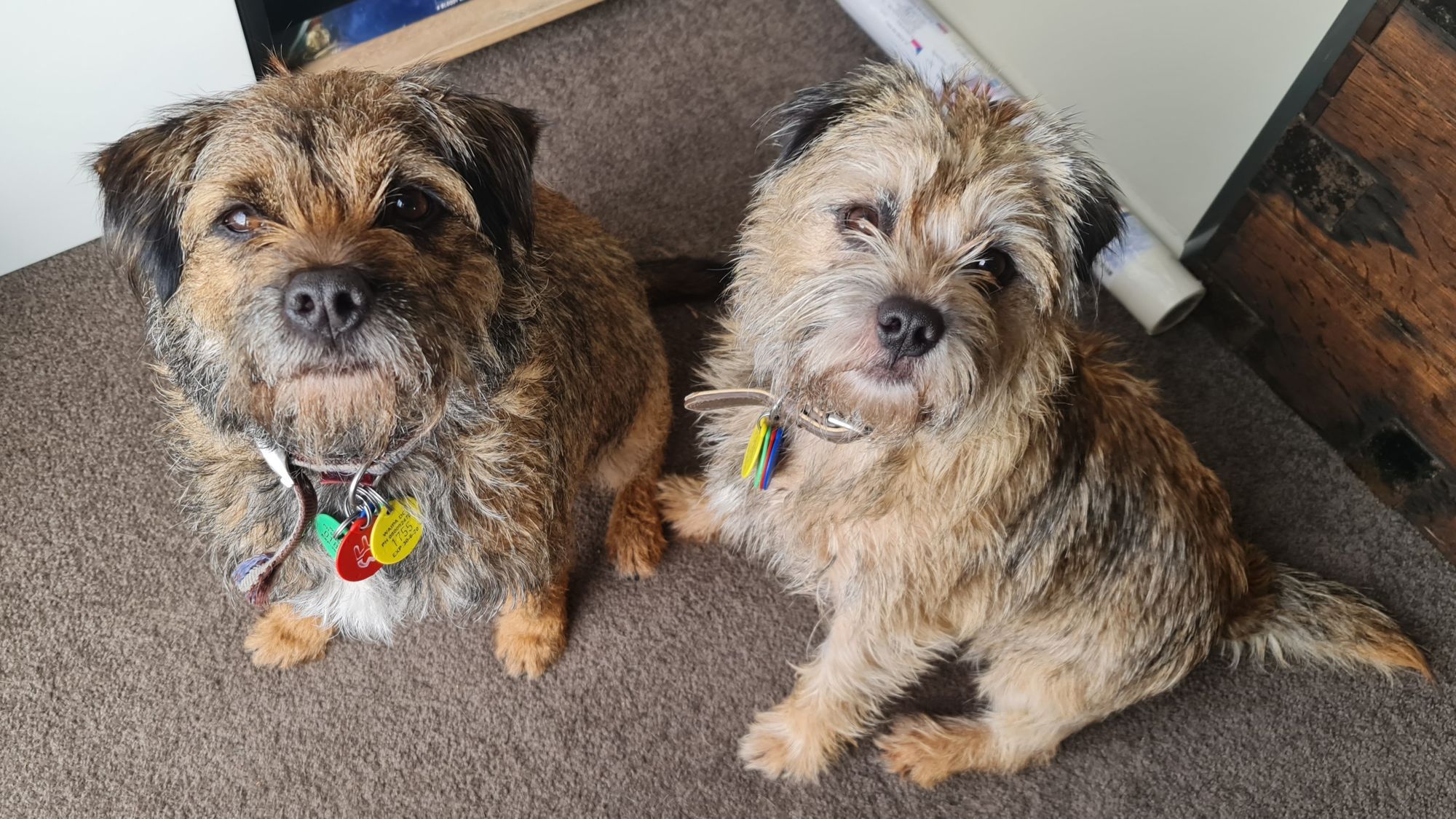 What happens when I'm bored.