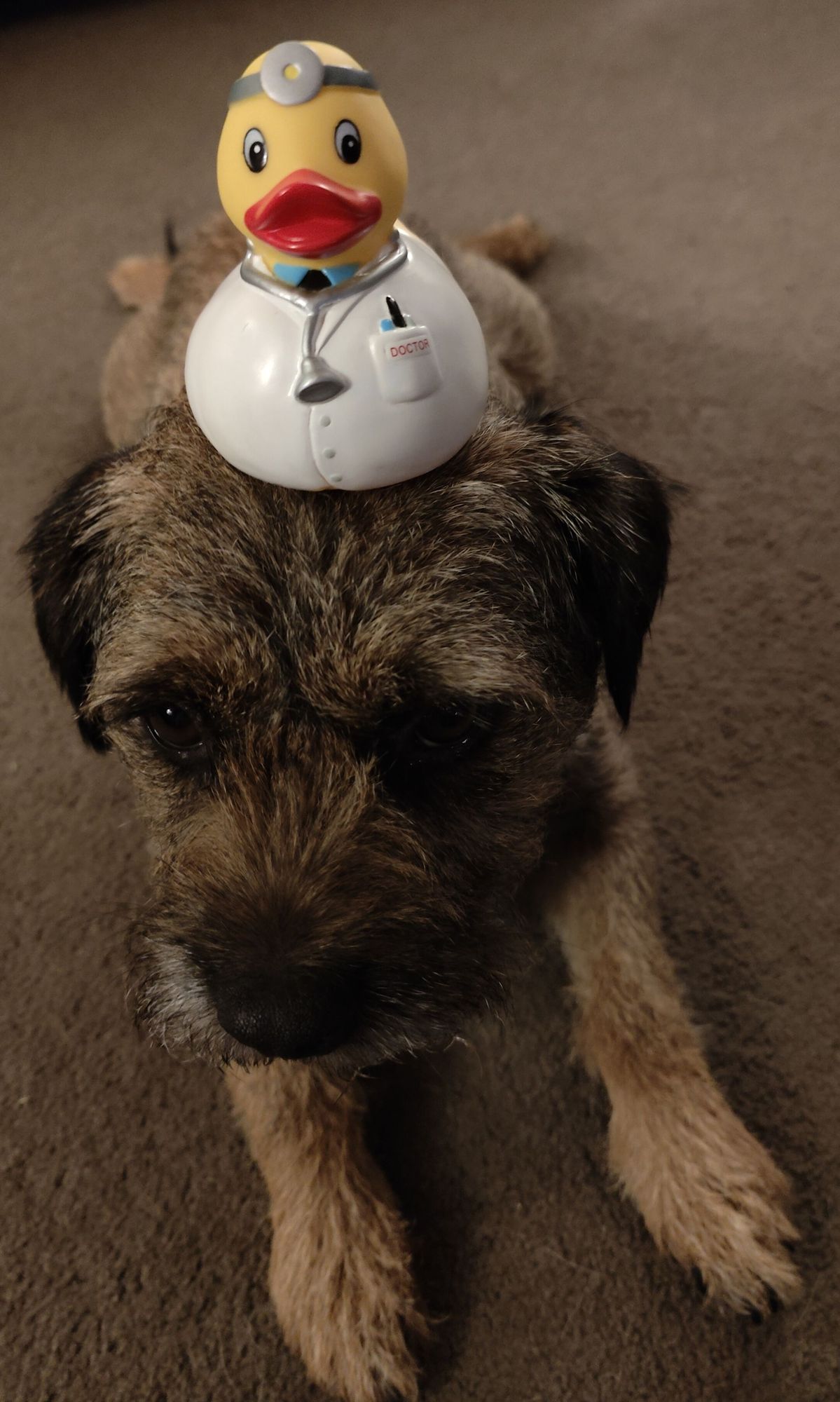 Doctor Diaries: The one with the penis.