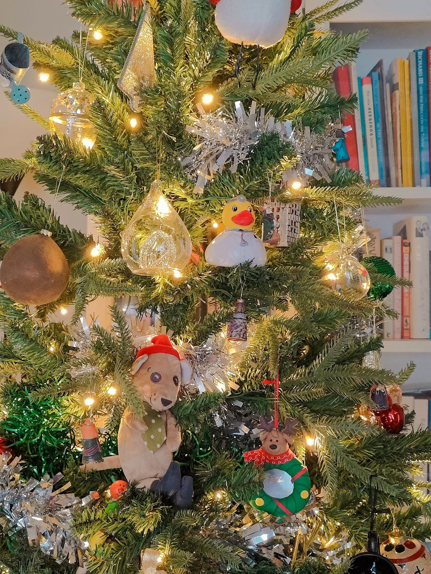 Dr Diaries, The On Call Disorder