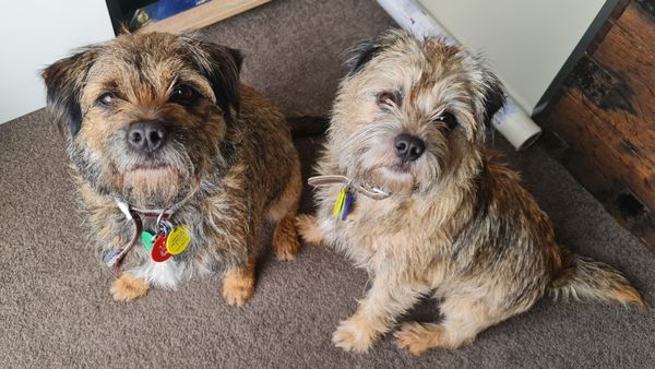 What happens when I'm bored.