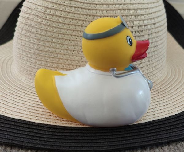 Doctor Diaries: USS anyone?