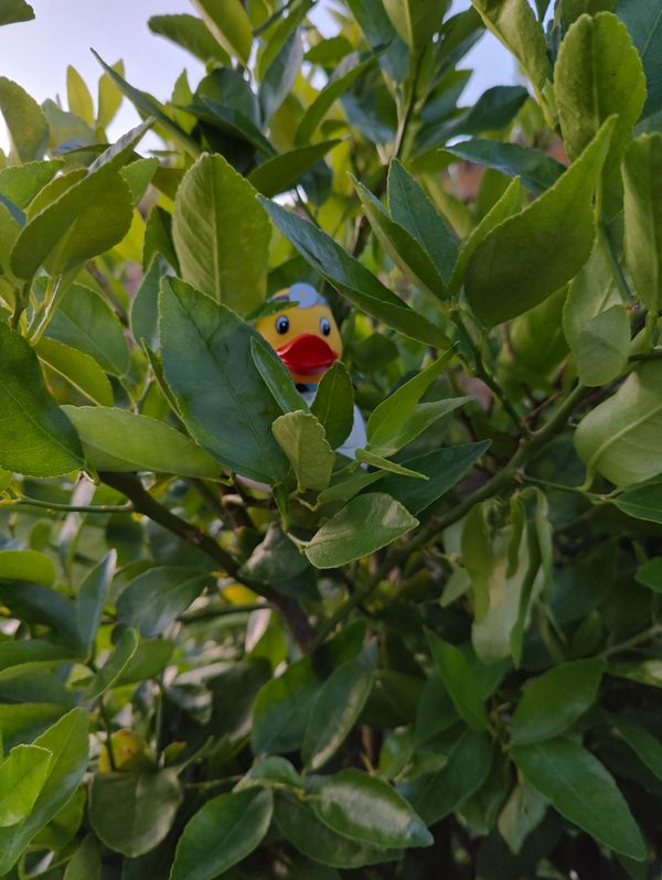 Doctor Diaries: Why did I leave?