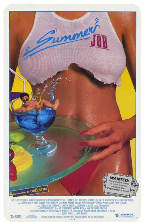 NSFW. Porn, is it for women?