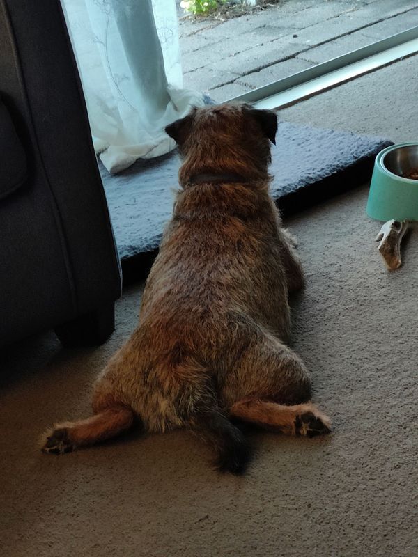 Chaotic Neutral Week