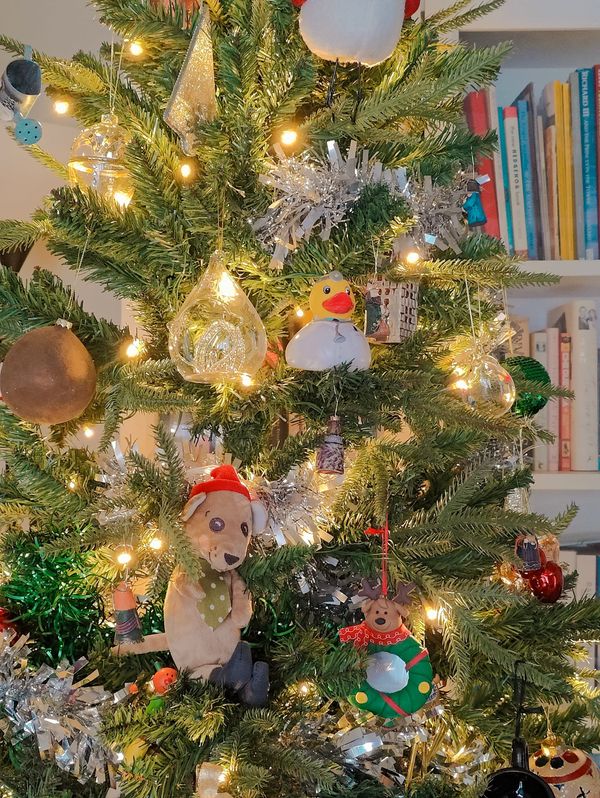 Dr Diaries, The On Call Disorder