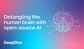 Detangling the human brain with open-source AI