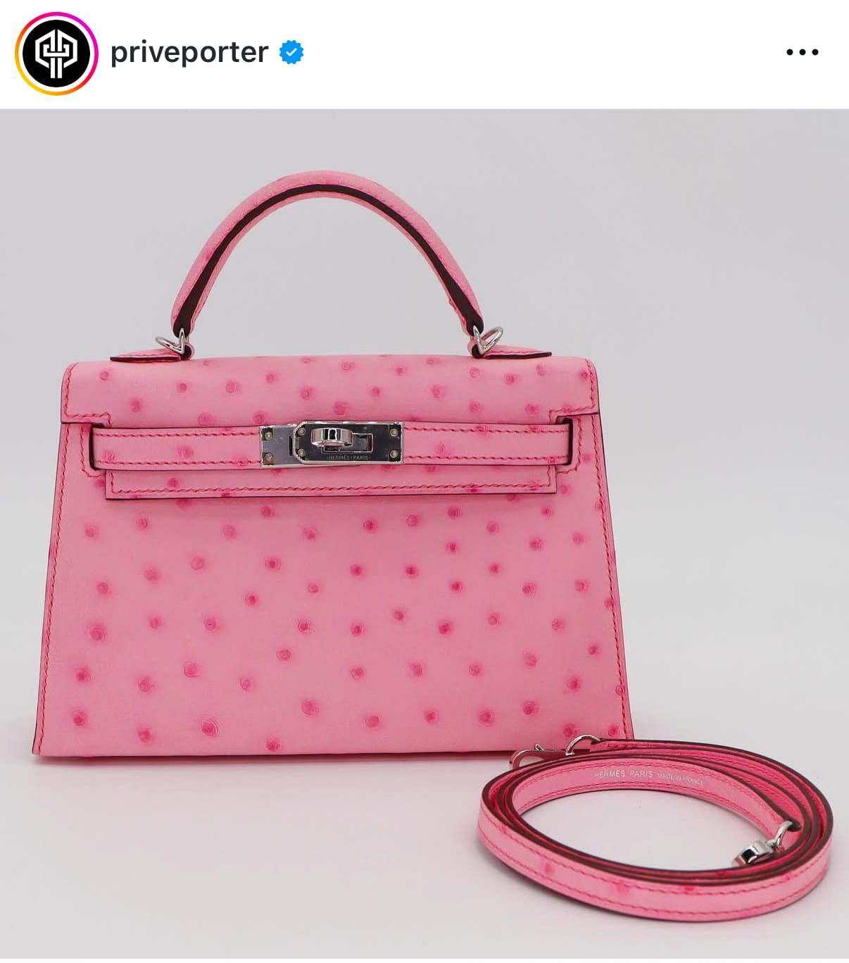 Hermès Mini Kelly。(資料來源：Instagram)