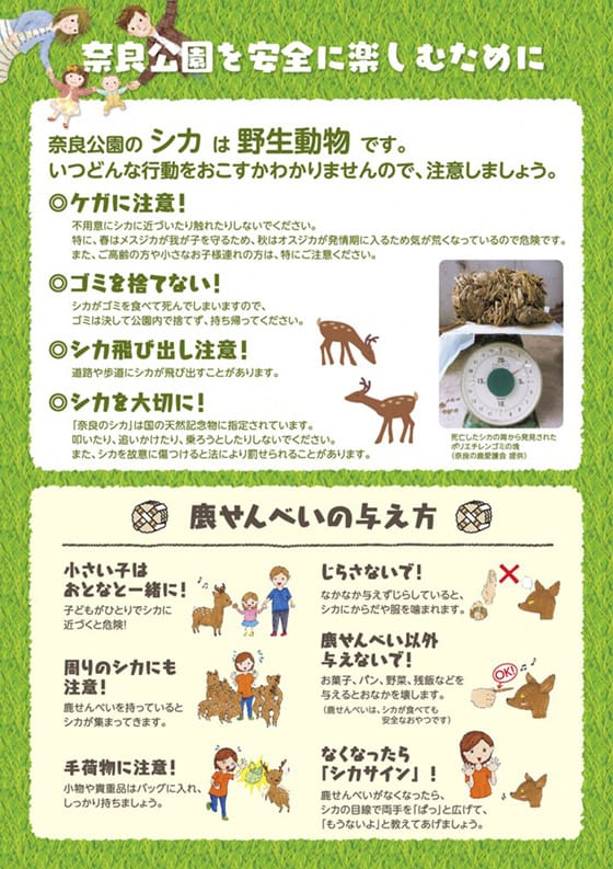 奈良公園實施餵鹿新規定。(資料來源：奈良公園室官方網站)