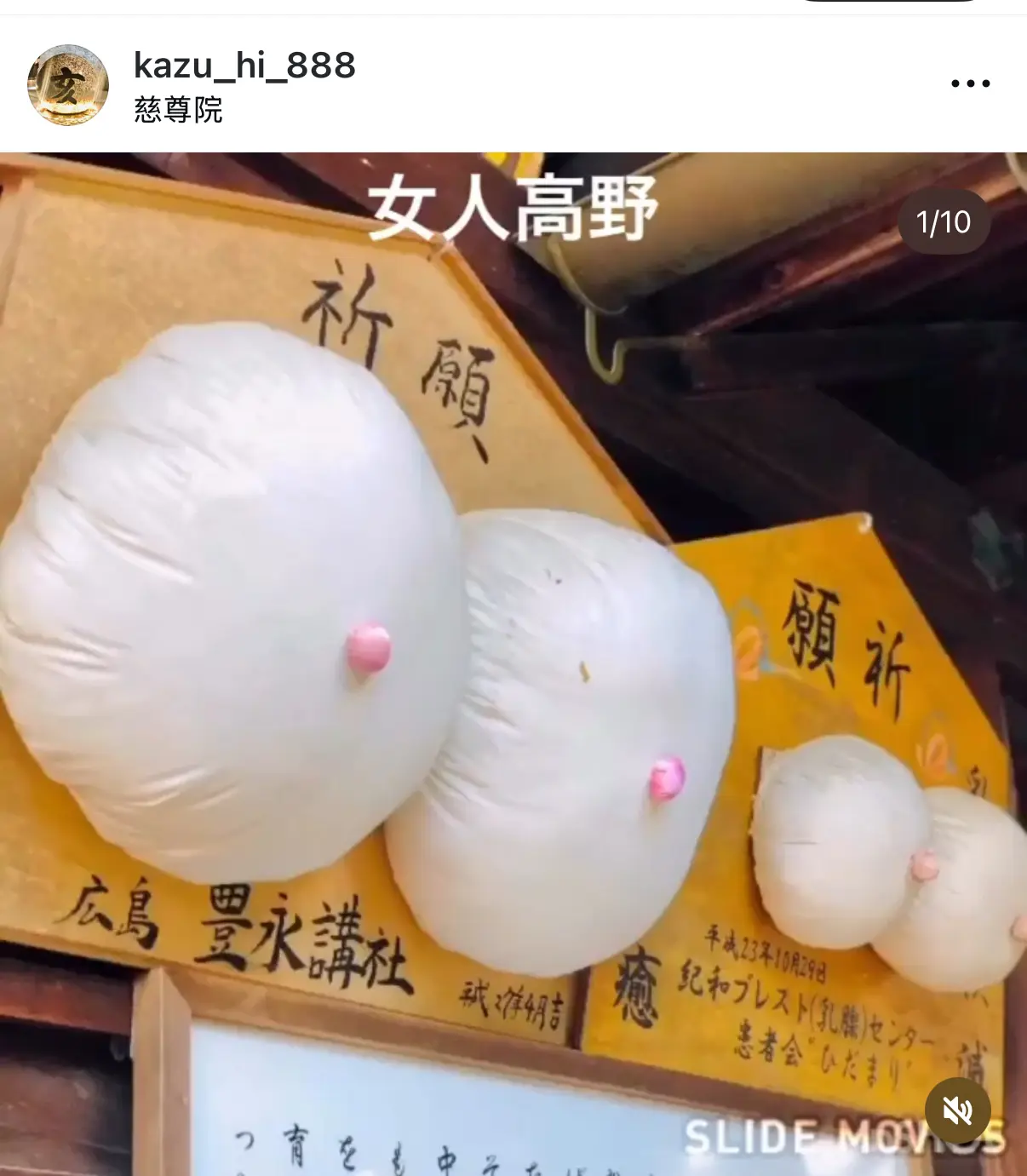 寺院賦予「女人高野」嘅稱號,成為女性朝聖聖地!(資料來源:社交平台)