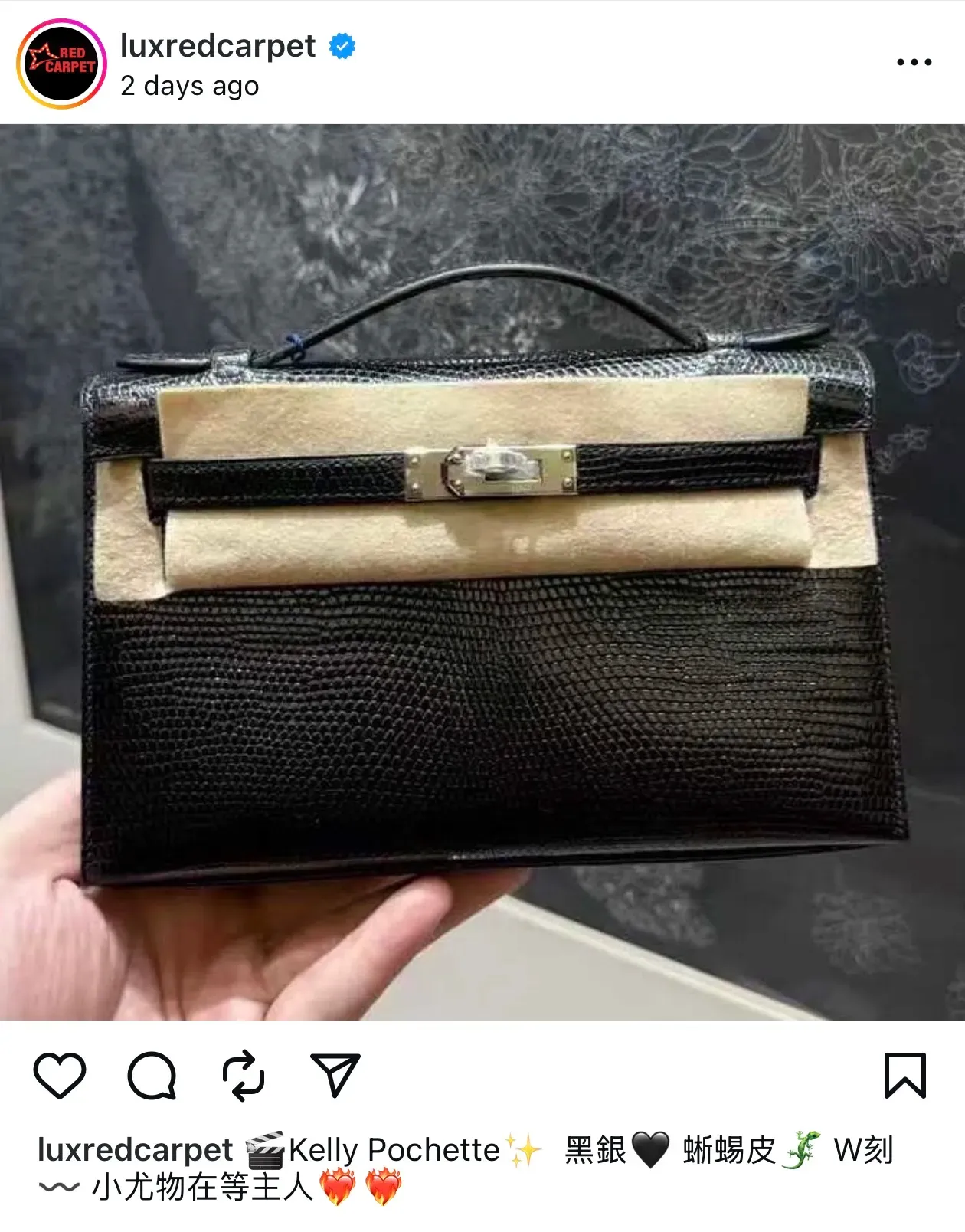 Hermès Kelly Pochette&nbsp;蜥蜴皮。(資料來源：社交平台)