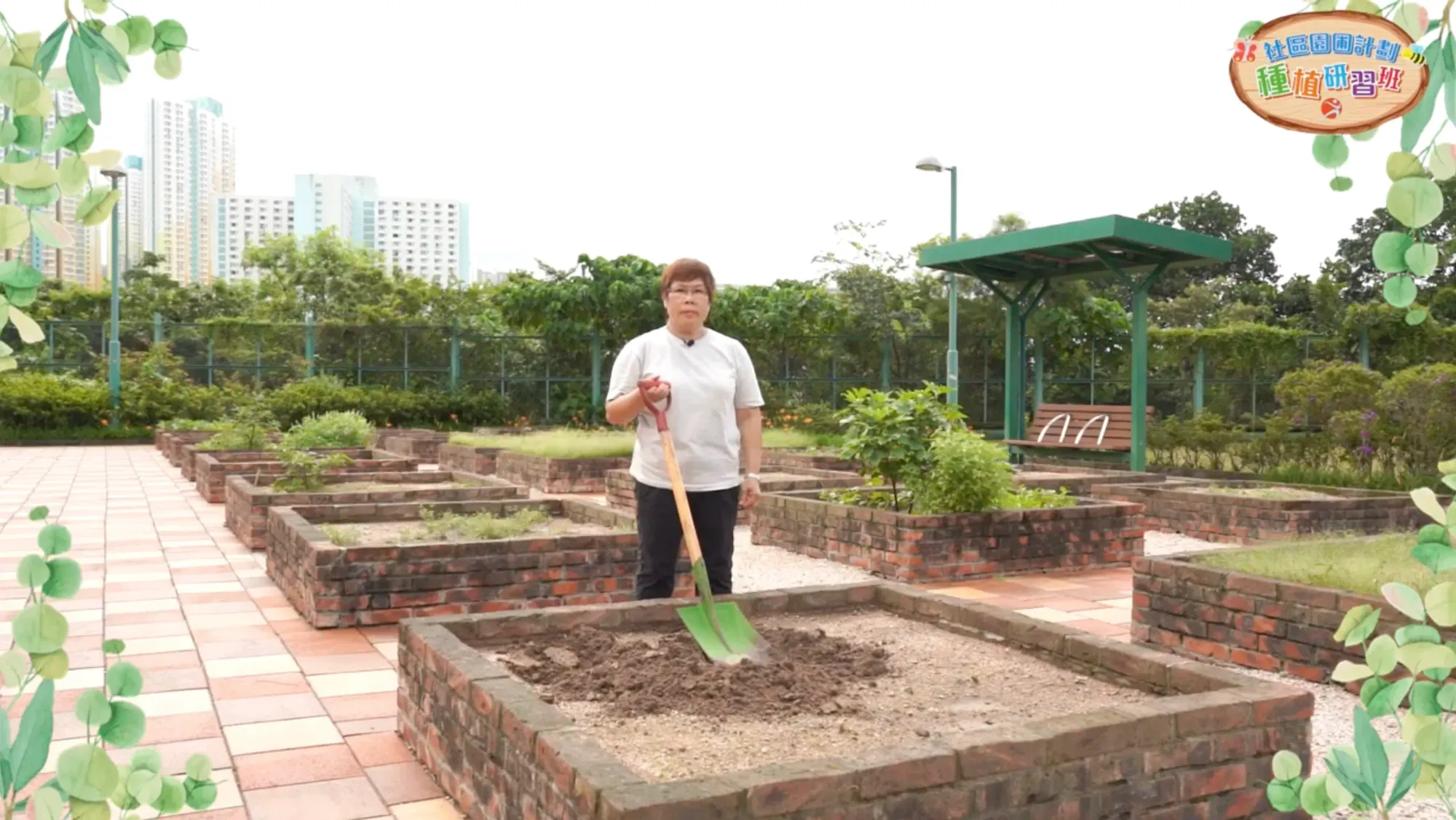 康文署社區園圃以「格仔田」形式分配,每人約 2.25 平方米,足夠種植數款蔬菜或花卉。