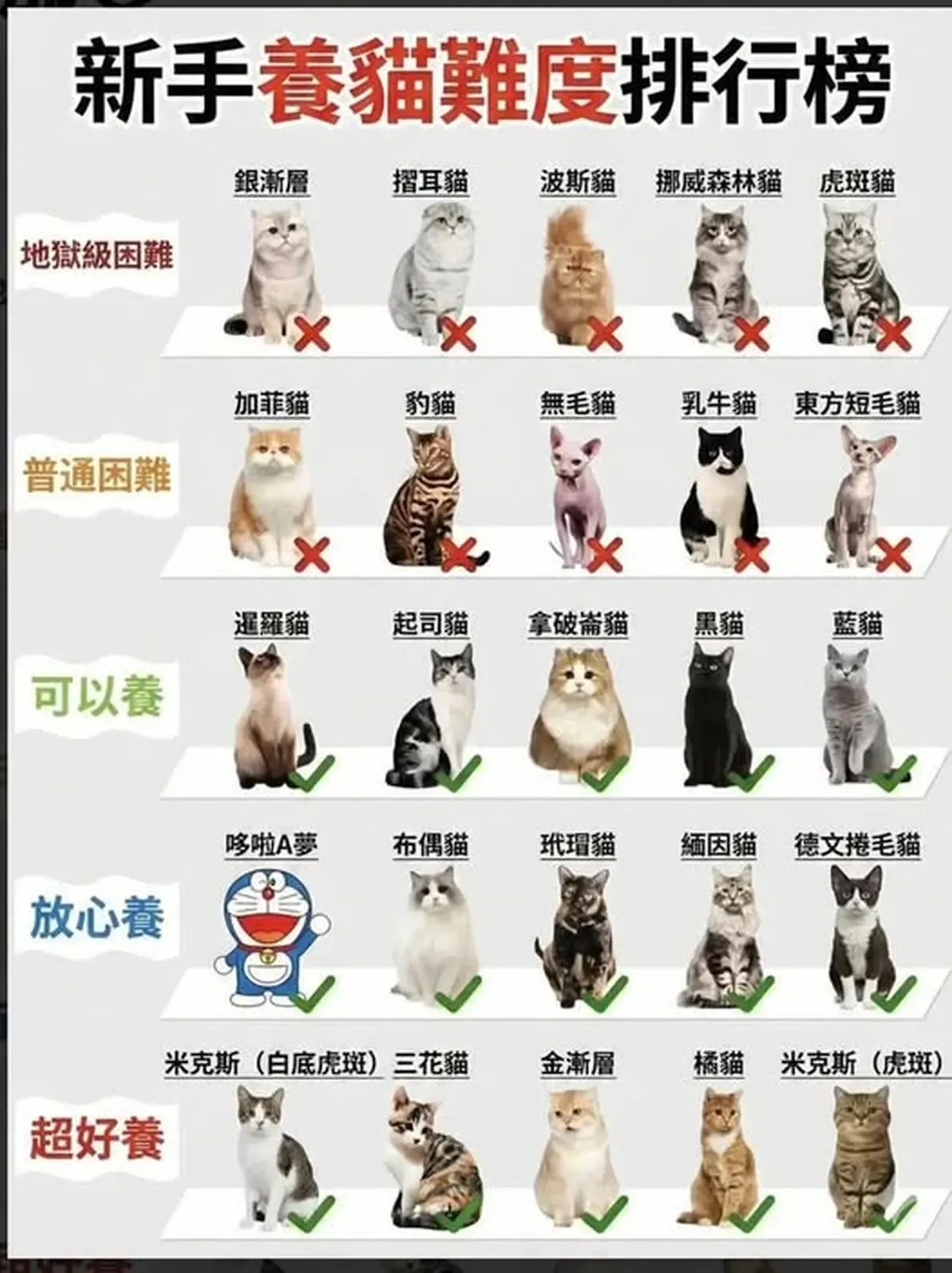 facebook社交平台流傳「新手養貓難度排行榜」，將唔同品種同花色分類成唔同難度等級