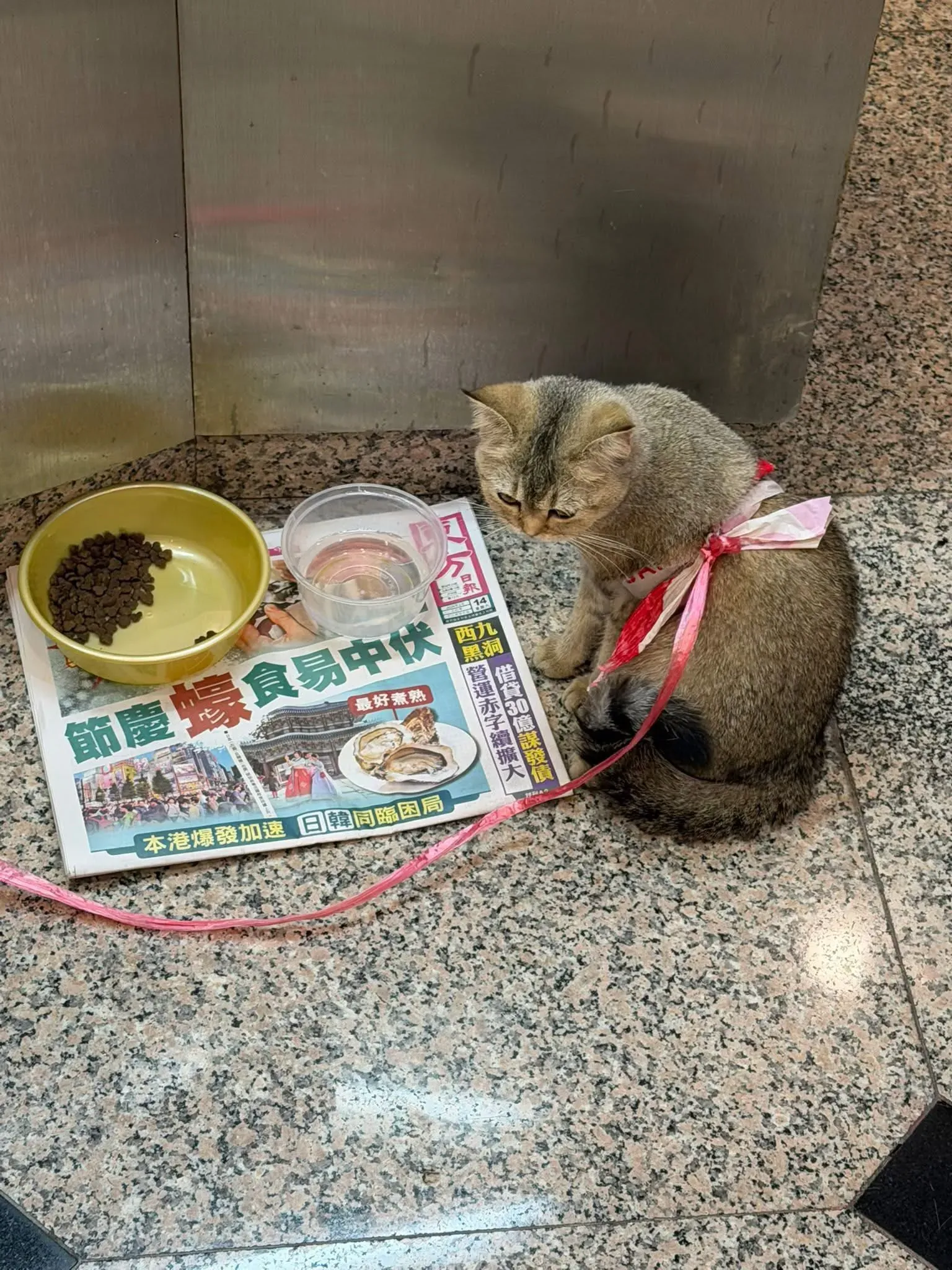 腰帶位置接近「量腰圍」水平，好似進行緊體脂檢查。