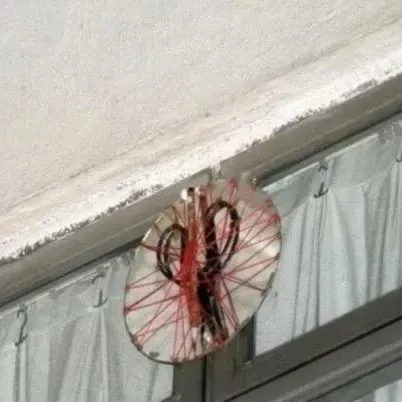 涉事單位窗外曾掛鏡子、紅繩及剪刀等風水物件,引起外界關注