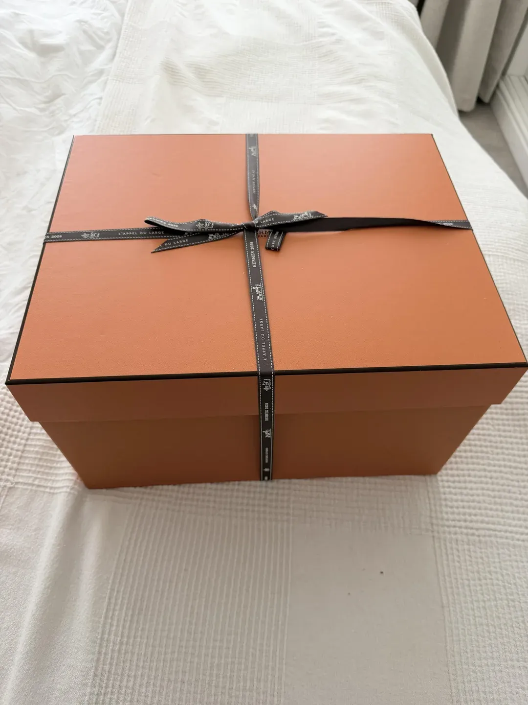 網購入手&nbsp;Hermès&nbsp;手袋的開箱一刻，橙盒與包裝帶來強烈儀式感，亦容易放大「成功搶到」的即時滿足感。