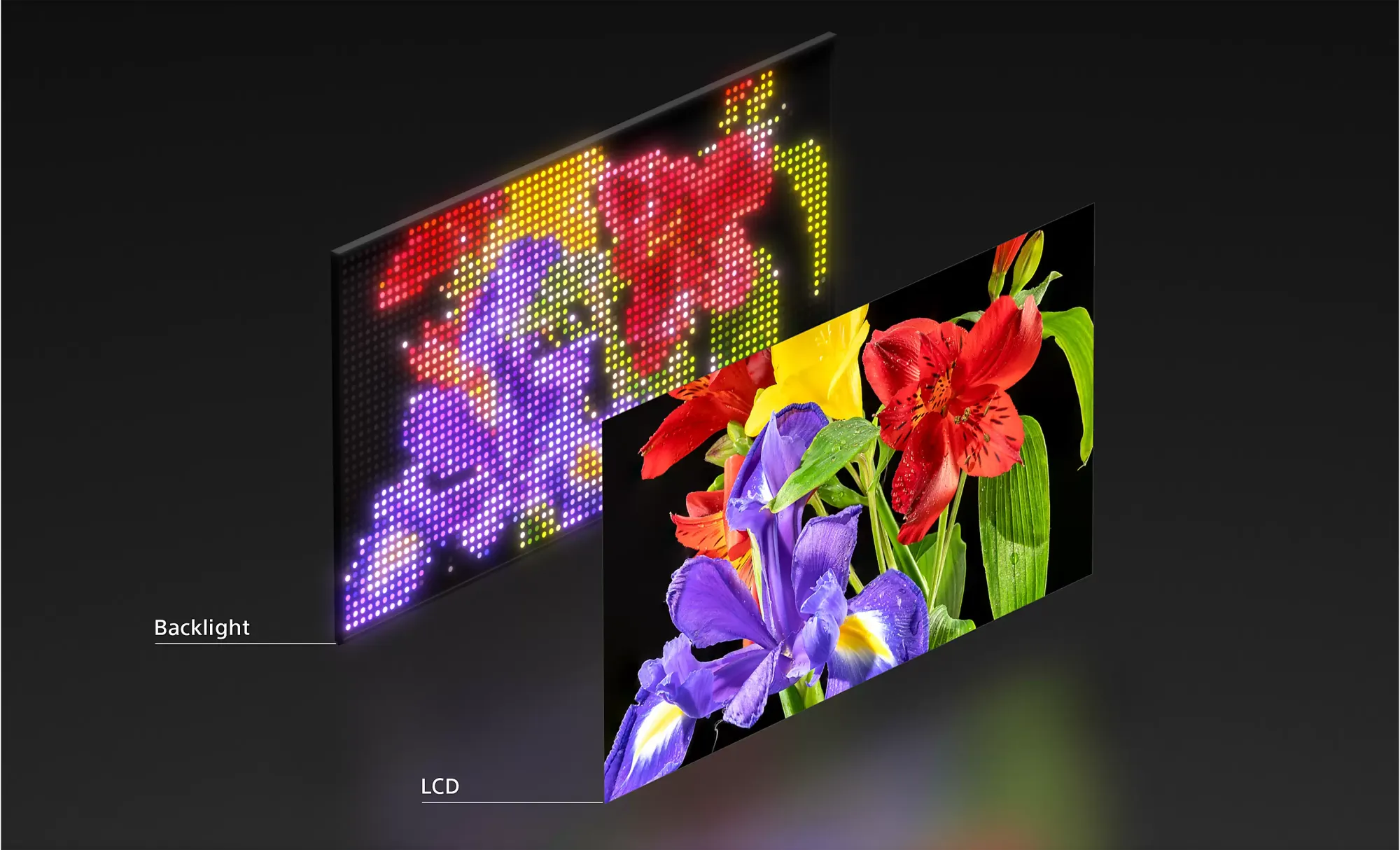 True RGB：精準色彩與亮度嘅平衡
