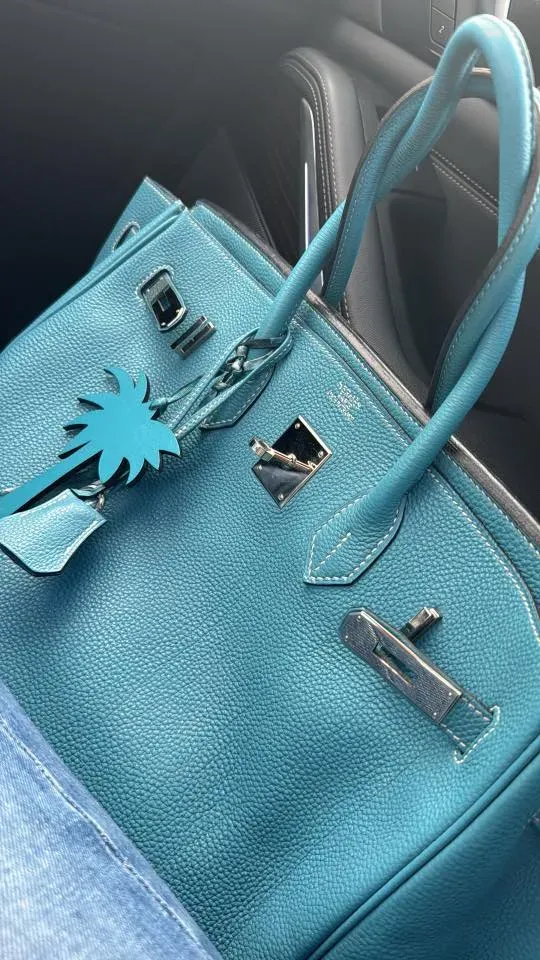 網民分享自己嘅&nbsp;Birkin 35&nbsp;日常使用照，並表示&nbsp;B35&nbsp;一直係自己嘅&nbsp;Everyday Bag。鮮藍色配色相比傳統黑色或金棕色更加搶眼，亦反映部分海外用家會將&nbsp;Birkin 35&nbsp;真正當成日常袋而非特別場合使用。
