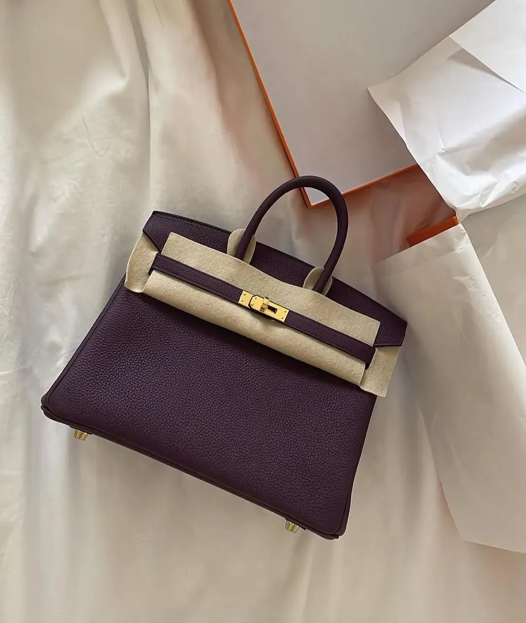 Hermès Birkin 25 Cassis #N5（加侖紫）實物圖