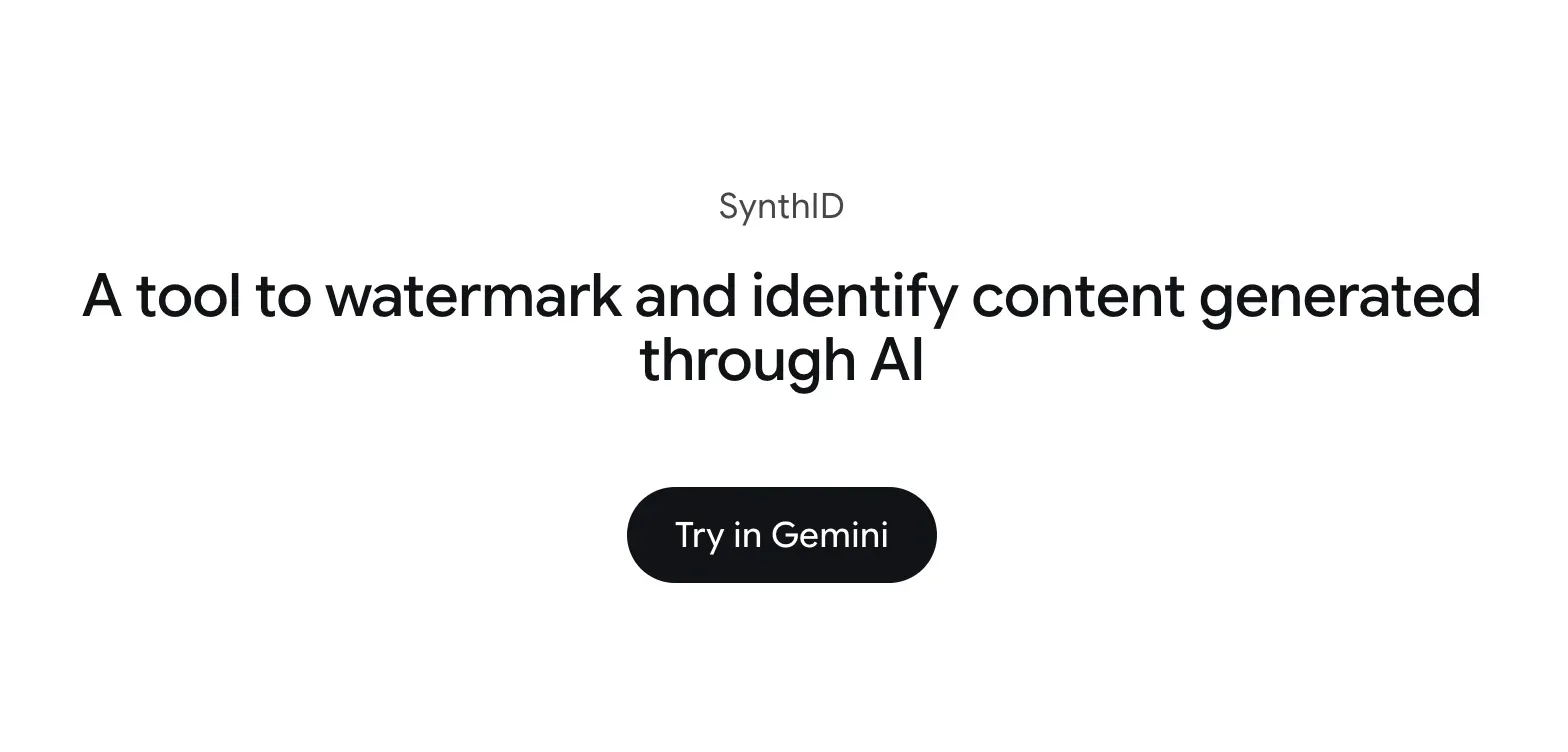Google Gemini 嘅驗證體驗